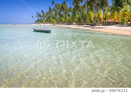 Carneiros Beach and boat in Pernambuco, Northeastern Brazil, South America Carneiros Beach and boat in Pernambuco, Northeastern Brazil, South America 99076231