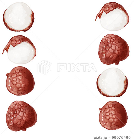 手描き水彩のライチイラスト正方形フレーム・左右 手描き水彩のライチイラスト正方形フレーム・左右 99076496