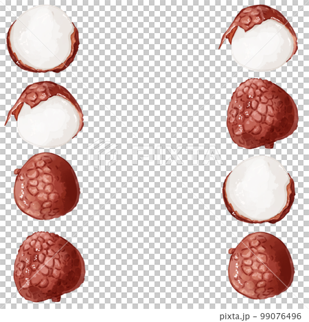 手描き水彩のライチイラスト正方形フレーム・左右 手描き水彩のライチイラスト正方形フレーム・左右 99076496