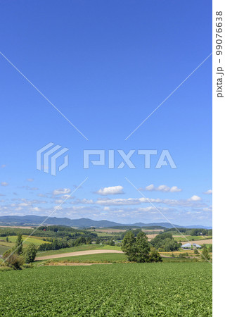 美瑛町 三愛の丘 美瑛町 三愛の丘 99076638