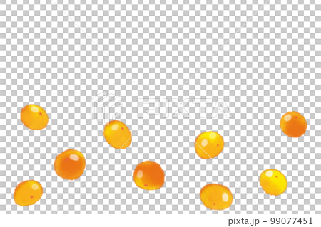 金柑コロコロ 金柑コロコロ 99077451
