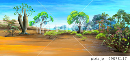 Australian bottle tree illustration 99078117