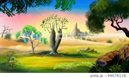 Australian bottle tree illustration Australian bottle tree illustration 99078118