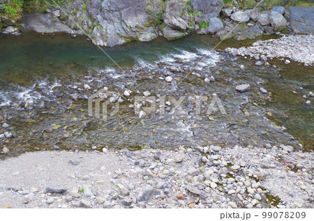 川の流れる景色 川の流れる景色 99078209