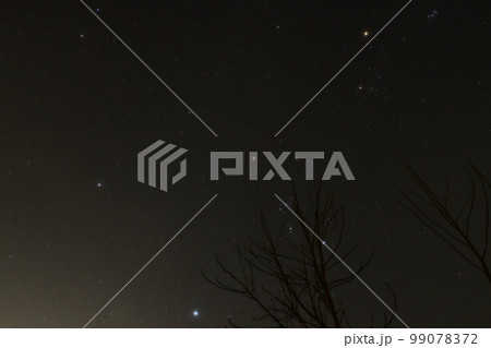 北杜市白州町、 99078372