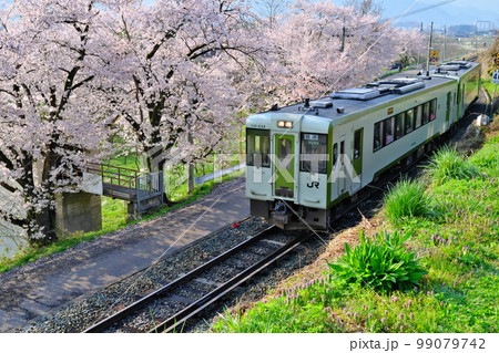 春の信州 桜に彩られ朝陽を受けるJR飯山線(替佐駅 - 上今井駅 間) 春の信州 桜に彩られ朝陽を受けるJR飯山線(替佐駅 - 上今井駅 間) 99079742