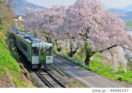 春の信州 満開の桜に彩られ朝陽を受けるJR飯山線(替佐駅 - 上今井駅 間) 春の信州 満開の桜に彩られ朝陽を受けるJR飯山線(替佐駅 - 上今井駅 間) 99080297