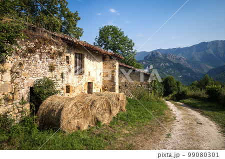 Old traditional farm, Picos de Europa, Asturias, Spain 99080301