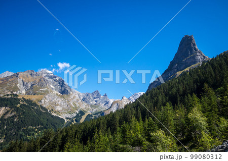 Mountains and forest landscape in French alps Mountains and forest landscape in French alps 99080312