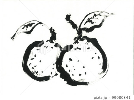 イラスト 柚子 ゆず イラスト 柚子 ゆず 99080341