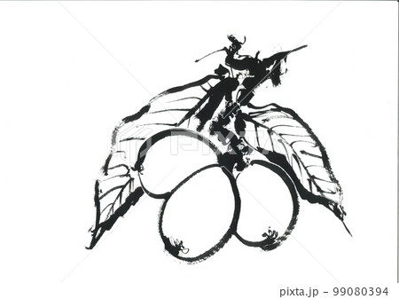 イラスト　枇杷　びわ 99080394