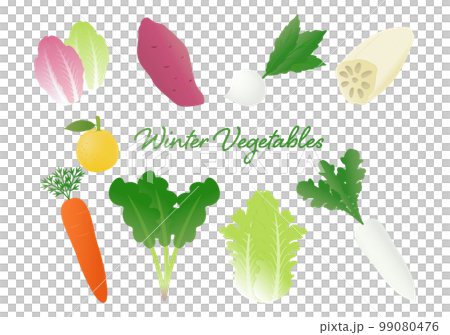 Illustration set of winter vegetables with beautiful gradation colors 99080476