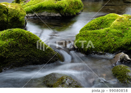 苔生した石灰岩と冬の河内渓谷の情景 苔生した石灰岩と冬の河内渓谷の情景 99080858
