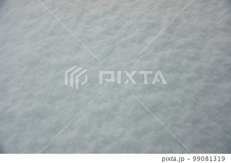 降り積もった雪 99081319