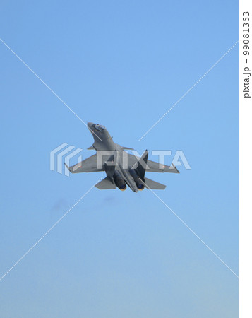 インド空軍スホーイSu-30MKI離陸 99081353