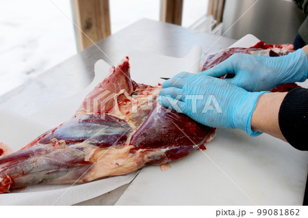 鹿肉を解体する男性の手元 ジビエ 狩猟 プロ さばく 精肉 99081862