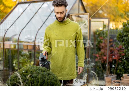 Guy prunes a round bush with scissors 99082210