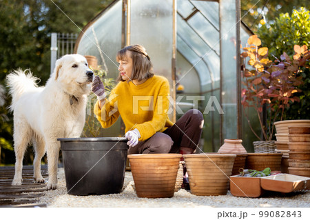 Woman planting flowers in jugs at garden 99082843