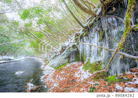 冬の岳切渓谷　大分県宇佐市 99084262