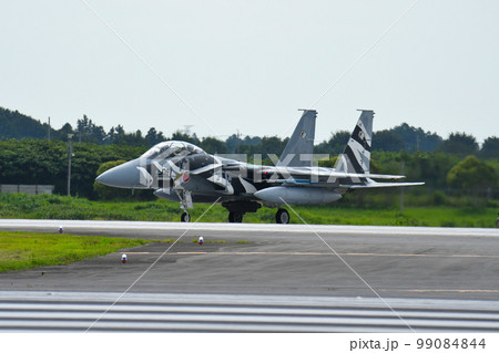 F-15DJ アグレッサー 99084844
