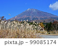 富士山 99085174