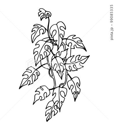 Doodle of hanging houseplant in pot. Doodle of hanging houseplant in pot. 99085335