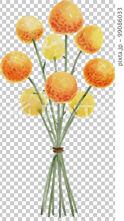 watercolor wildflowers 99086033