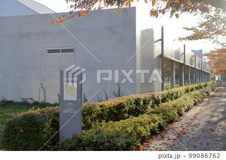 秋の十和田市民図書館(青森県 十和田市) 秋の十和田市民図書館(青森県 十和田市) 99086762