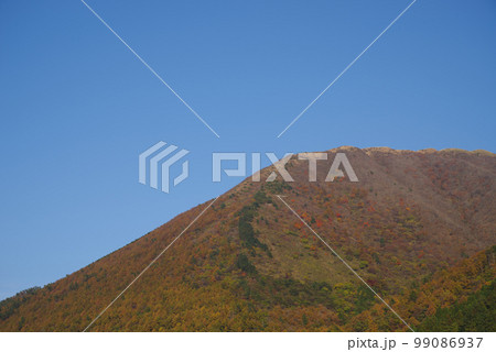 三瓶山 西の原の景色(2022年11月) 三瓶山 西の原の景色(2022年11月) 99086937