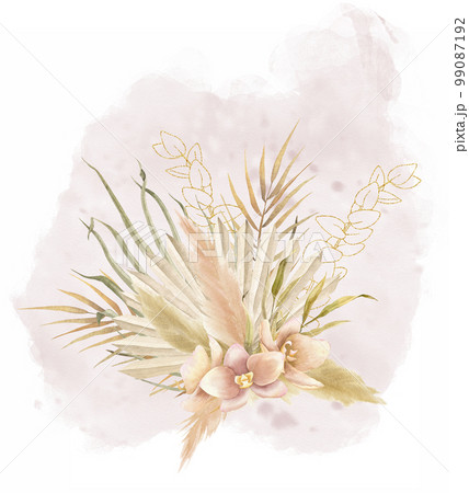 Floral Bouquet in Bohemian style with watercolor Palm leaves, dried pampas grass and beige tropical flowers. Botanical hand drawn Boho illustration on isolated background. Exotic aquarelle plant. Floral Bouquet in Bohemian style with watercolor Palm leaves, dried pampas grass and beige tropical flowers. Botanical hand drawn Boho illustration on isolated background. Exotic aquarelle plant. 99087192