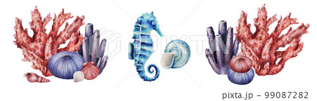 Watercolor compositions with corals, sea urchin, horse and shells. Hand painting clipart underwater life objects on a white isolated background. For designers, decoration, postcards, wrapping paper Watercolor compositions with corals, sea urchin, horse and shells. Hand painting clipart underwater life objects on a white isolated background. For designers, decoration, postcards, wrapping paper 99087282