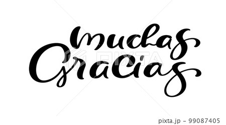 Thank you vector lettering text in spanish Muchas Gracias. Hand drawn phrase. Handwritten modern brush calligraphy for invitation and greeting card, t-shirt, prints and posters Thank you vector lettering text in spanish Muchas Gracias. Hand drawn phrase. Handwritten modern brush calligraphy for invitation and greeting card, t-shirt, prints and posters 99087405