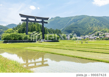 世界遺産熊野古道　大斎原（おおゆのはら）熊野本宮大社旧社地 99087428