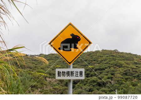 奄美大島　警戒標識　アマミノクロウサギ 99087720