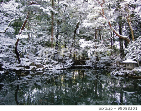 京都 南禅寺天授庵庭園の雪景色 京都 南禅寺天授庵庭園の雪景色 99088301