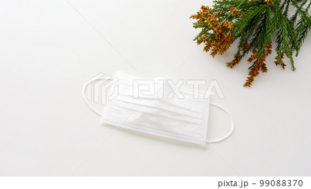 スギ花粉 花粉症 マスク スギ花粉 花粉症 マスク 99088370