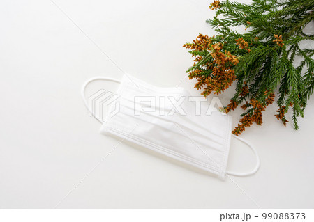 スギ花粉 花粉症 マスク スギ花粉 花粉症 マスク 99088373
