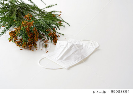 スギ花粉　花粉症　マスク 99088394