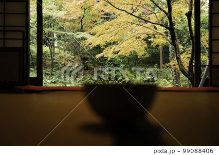 黄葉を愛でながらの茶会 黄葉を愛でながらの茶会 99088406