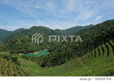 千島湖 景色 風景 99088708