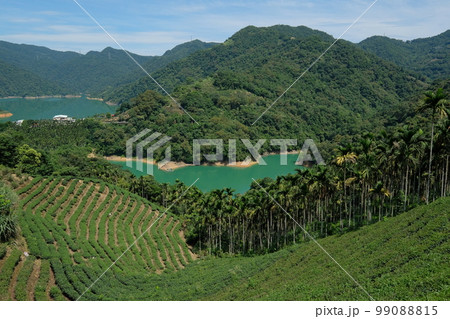 千島湖 景色 風景 99088815