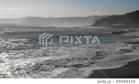 十府ヶ浦海岸 岩手県 十府ヶ浦海岸 岩手県 99089456