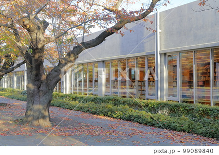 秋の十和田市民図書館(青森県 十和田市) 秋の十和田市民図書館(青森県 十和田市) 99089840