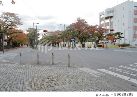 役所前の交差点(十和田市役所 青森県 十和田市) 役所前の交差点(十和田市役所 青森県 十和田市) 99089899