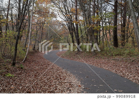 岩手山、十和田八幡平国立公園、火山国、焼走り熔岩流、散策路、山麓、特別保護地区、岩手県、八幡平市、日 岩手山、十和田八幡平国立公園、火山国、焼走り熔岩流、散策路、山麓、特別保護地区、岩手県、八幡平市、日 99089918