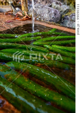 【岐阜】透明度の高い付知川や付知峡がエメラルドグリーンに輝きとても美しく心癒される、岩魚も美味しい 99090311