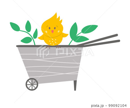 Vector cute wheel barrow with yellow chick icon isolated on white background. Flat spring garden tool illustration. Funny gardening equipment picture for kids. 99092104