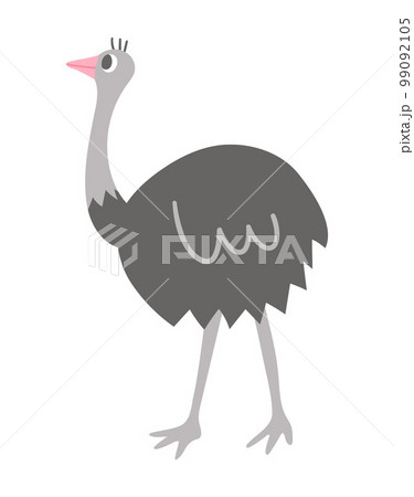 Vector ostrich icon isolated on white background. Cute African bird illustration for kids 99092105