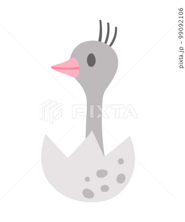Vector ostrich nestling icon. Little African bird illustration. Cute just hatched animal sitting in egg shell isolated on white background. 99092106
