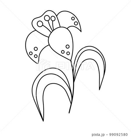 Vector black and white lily icon. Easter symbol flower outline illustration or coloring page. Floral clip art. Cute spring plant isolated on white background. 99092580